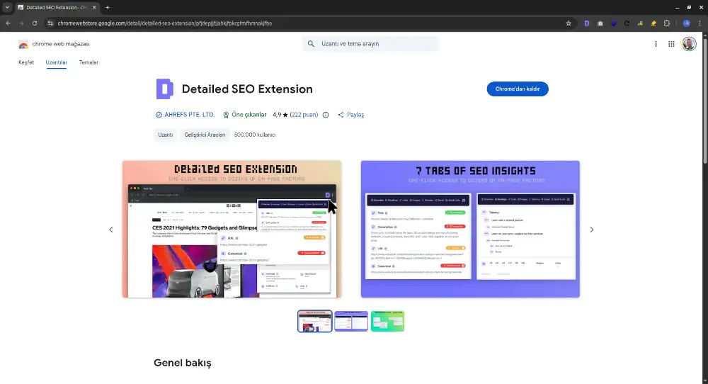 Detailed SEO Extension Chrome eklentisi