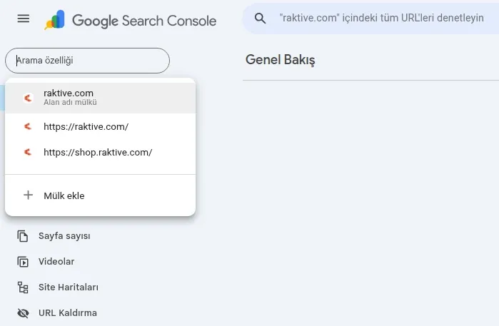 Google Search Console mülk ekleme ekranı 1